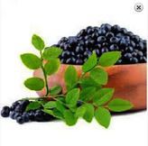Aronia berry extract  