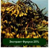   25%, 1 